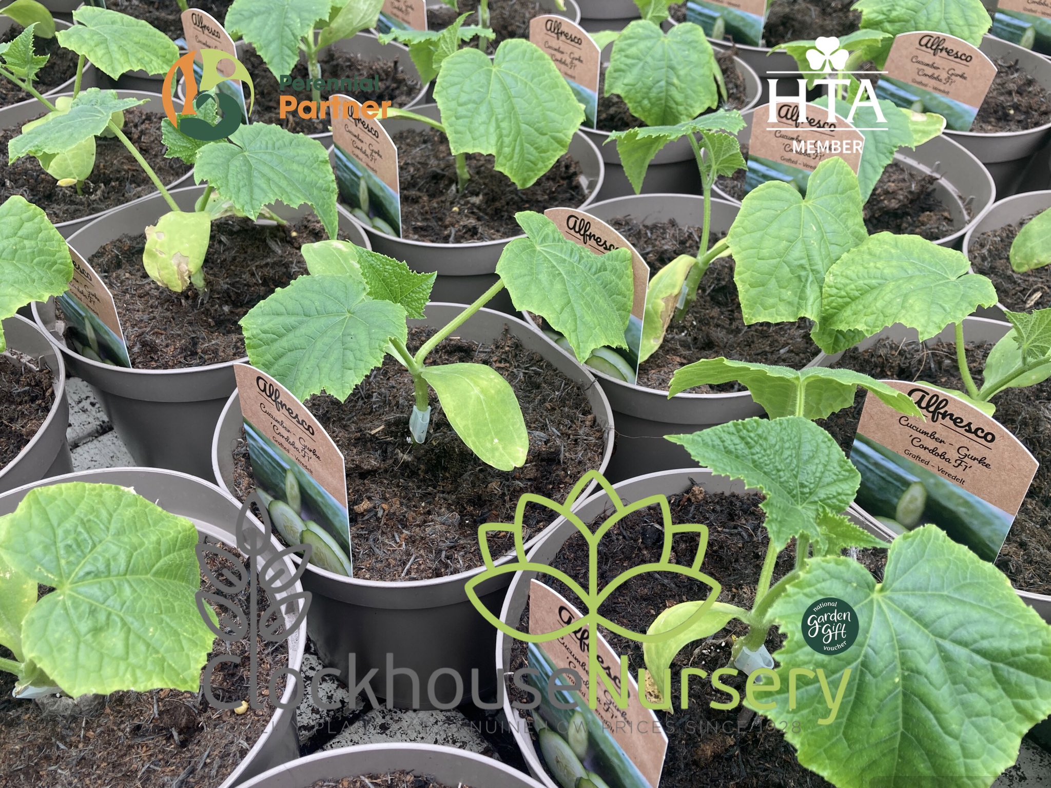 Clockhouse Nursery (ClockhouseEN2) / Twitter