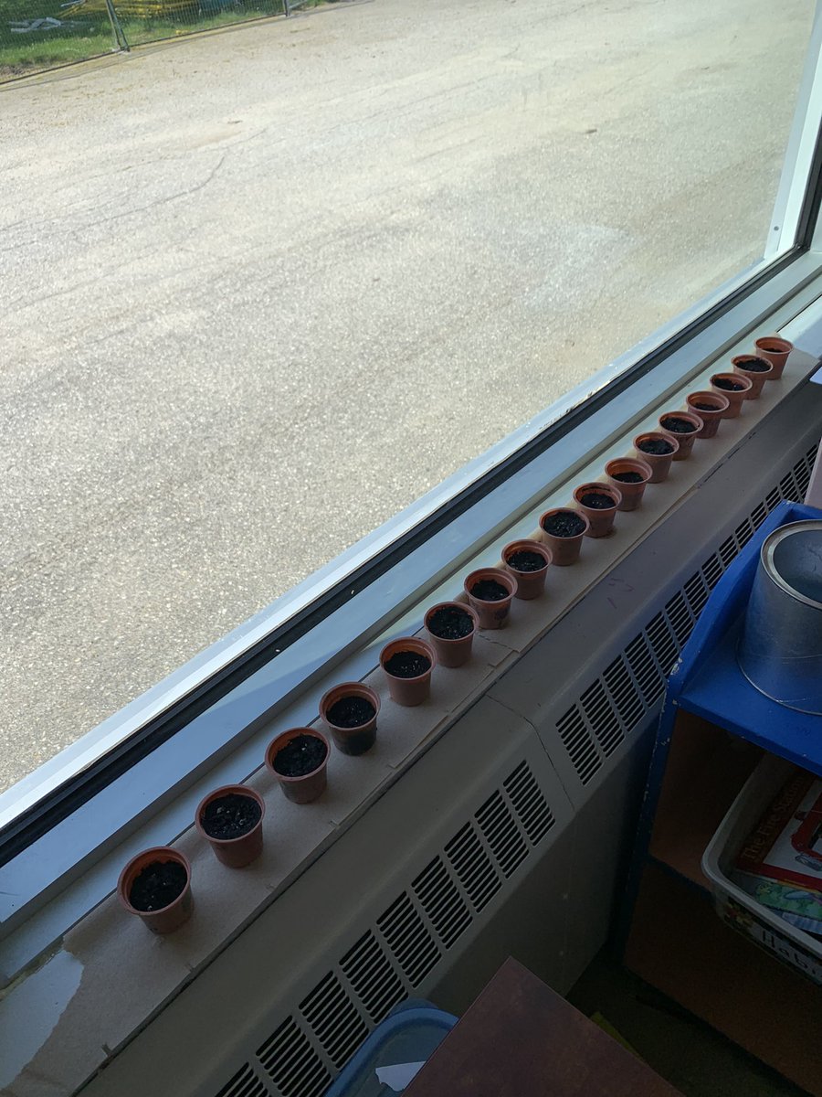 Long overdue update, but for the past ~5 weeks, I have been working in my first LTO at <a href="/KnollwoodPark1/">Knollwood Park P.S.</a> in a Grade 2 class! Such a great learning experience with a great group of Ss and a wonderful staff!