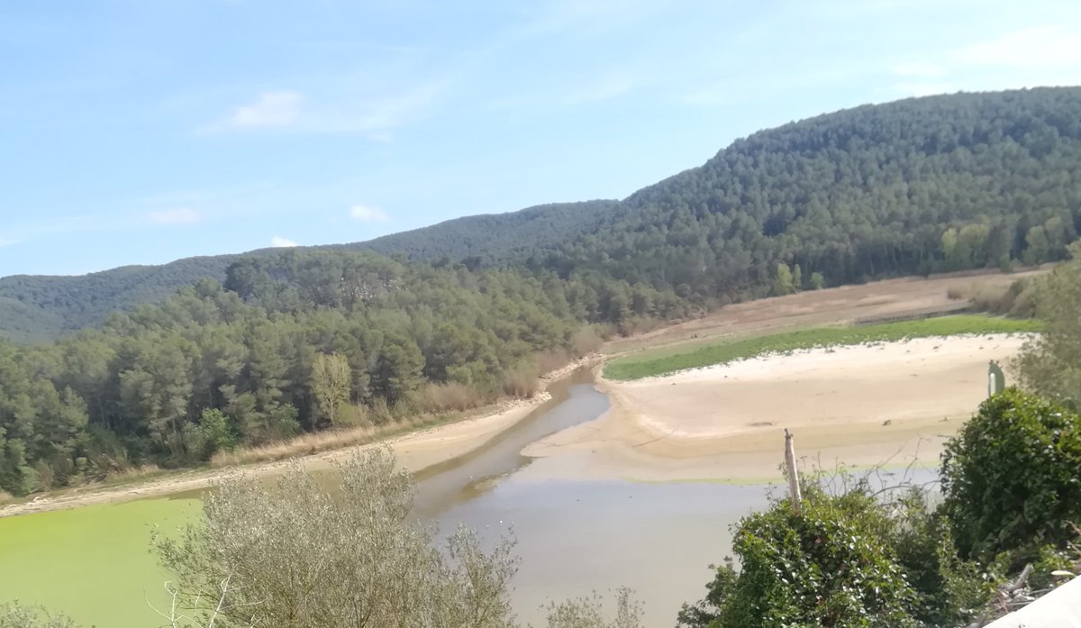 JosepAlmirall's tweet photo. L'any 2022 ha estat el més sec del S.XXI a les comarques del Penedès (Alt, Baix i Garraf), i els primers cinc mesos del 2023 encara han agreujat la situació. Les reserves d'aigua han minvat, el conreu de cereal s'ha perdut, i la vinya i l'olivera tenen dificultats per brostar. ⏬ https://t.co/qkiBFl92ja
