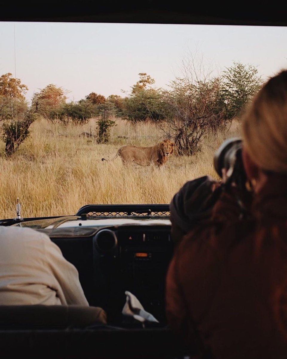 dmAFRICA's tweet photo. new favorite place unlocked π
#Repost @erinapindar
#everythingextraordinary #dmafrica
#smartflyer #smartflyertakemeto #botswana #okavangodelta #fujixseries #greatplainsconservation #lion #lionking #safari #big5 #bigfive https://t.co/lWwXmc4Ryl