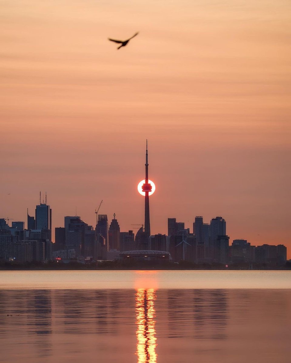 streetsoftrnto's tweet photo. Every day we wake is a day closer to that summer weather! 😍

📷: @eddiemarkhampyro
#StreetsofToronto https://t.co/ZqOdW2GPSa