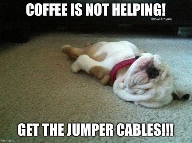 Never. Enough. Coffee! 🤪 #dogmeme #doghumor #k9humor #dogjokes #vestedinterestink9s #vik9s