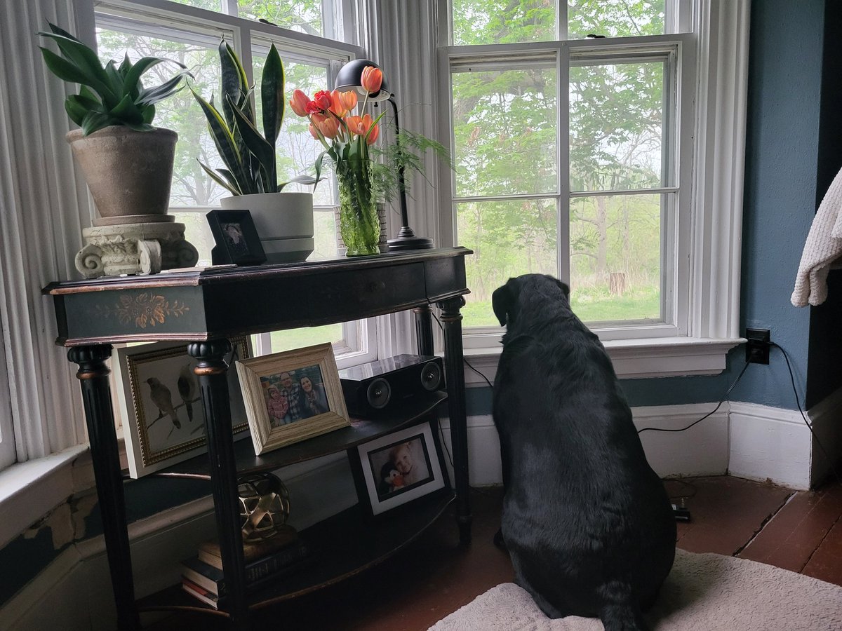 Steve Strasheim tweet media