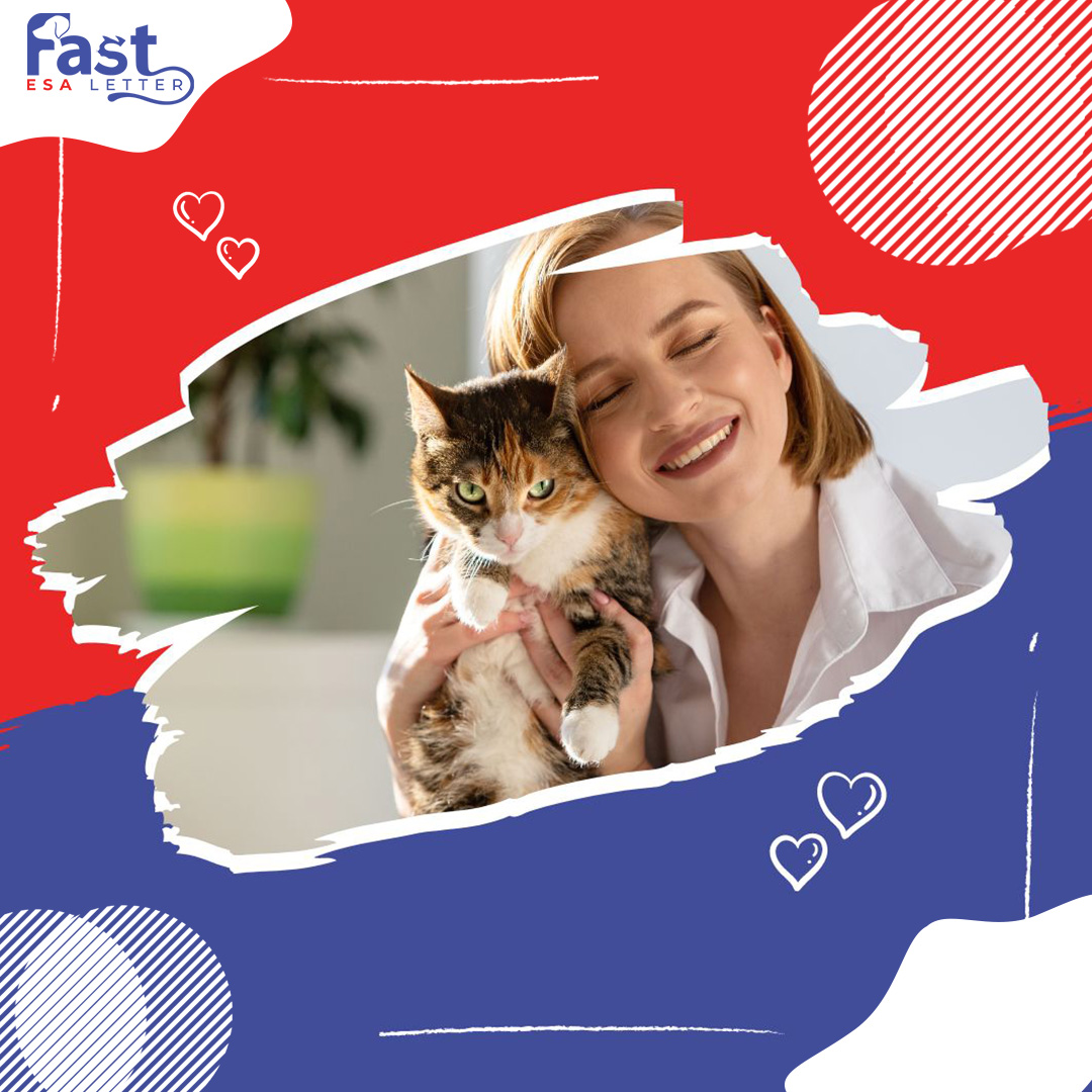 fastesaletter's tweet photo. "A cat's love knows no bounds, and sometimes all you need is a warm hug from your furry friend to make everything better.
Share if your cat is your cuddle buddy!
#CatHugs #FurryFriends #CatLovers #CuddleBuddies #PurrfectCompanions #PetLove #PetsofFacebook #PetsofSocialMedia https://t.co/TfDNuMehHx