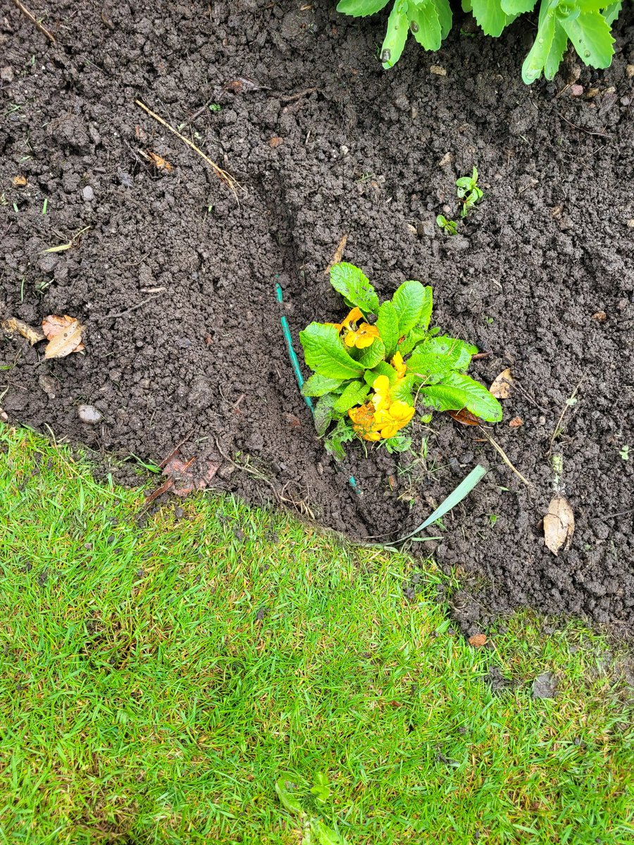 phil townsend tweet media