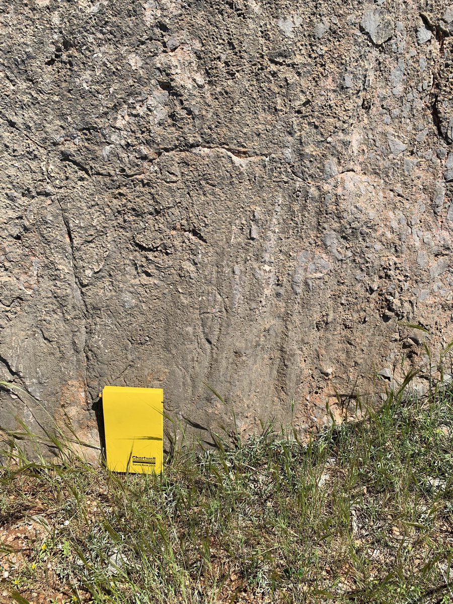 Sam Mitchell (@structuralsam) on Twitter photo 10-day whirlwind fieldtrip of Central Greece completed ✅ Discovered some new faults sites that I can’t wait to publish 🏔️ The fiat panda served us well (just about).
<a href="/London_NERC_DTP/">The London NERC DTP</a> <a href="/BirkbeckUoL/">Birkbeck, University of London</a> @UCLIRDR 10-day whirlwind fieldtrip of Central Greece completed ✅ Discovered some new faults sites that I can’t wait to publish 🏔️ The fiat panda served us well (just about).
<a href="/London_NERC_DTP/">The London NERC DTP</a> <a href="/BirkbeckUoL/">Birkbeck, University of London</a> @UCLIRDR