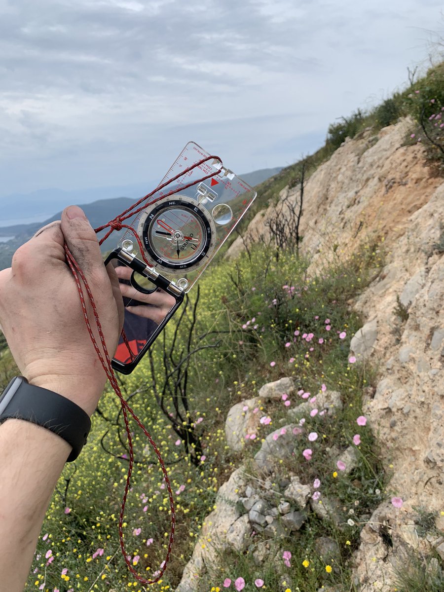 Sam Mitchell tweet media