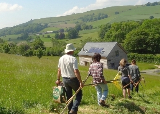 We are looking forward to delivering scythe training this Sunday at the meadow
We use the lightweight Austrian Scythe-a perfect way to control bracken, brambles or simply scythe your lawn after #NoMowMay !
Some places still available this Sunday
Info here 
wildmeadow.co/scything-class…