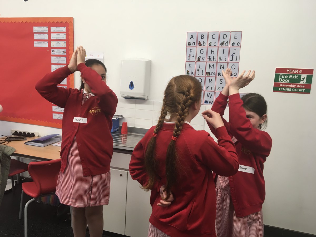 NewParkPrimary's tweet photo. Year 5 have been learning about how plants reproduce. We used drama to demonstrate how bees pollinate flowers! #NP_5W #NP_Science https://t.co/GMieoiKQdc