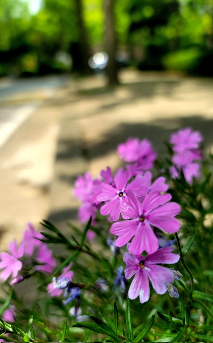 주홍맘 tweet media