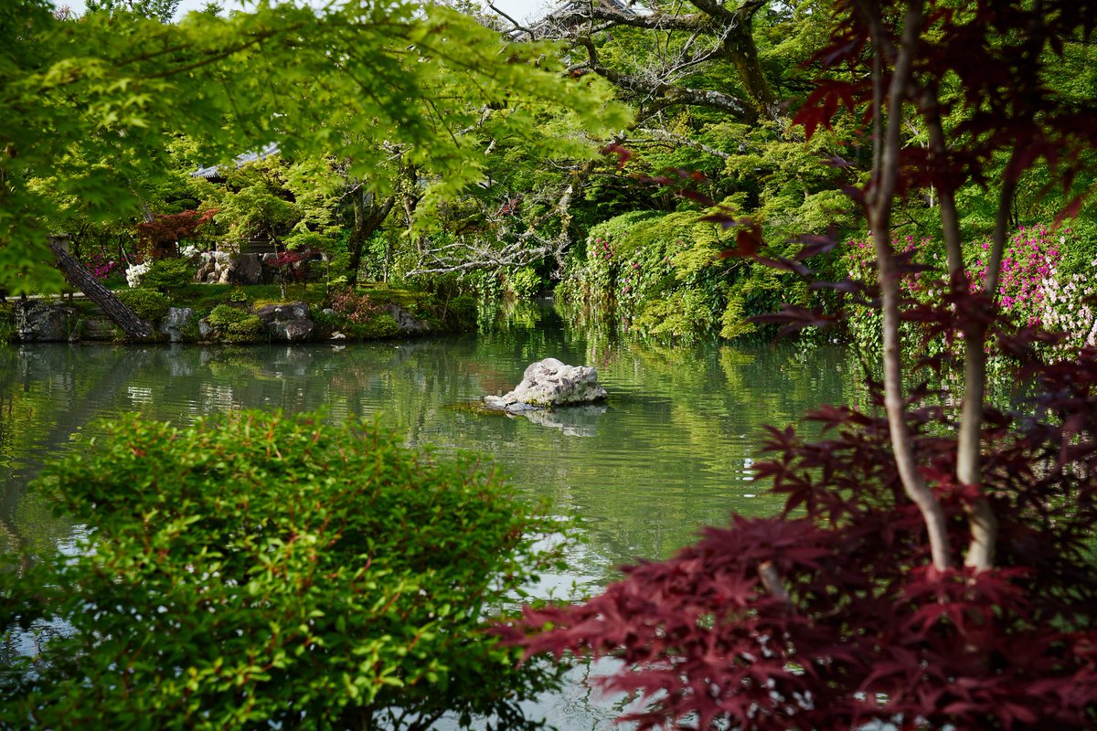 stone0flower's tweet photo. 永観堂にて
#kyoto 
#green
#lightsandshadow
#写真で伝える私の世界 
#お寺 
#永観堂 https://t.co/NVNG7Q3Wao