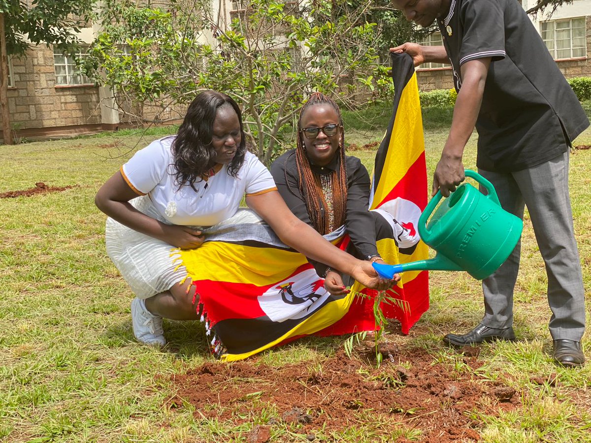 Eve Ashley🇺🇬 tweet media