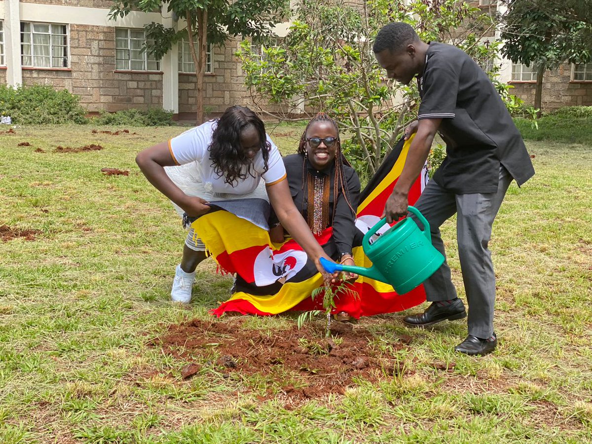 Eve Ashley🇺🇬 tweet media