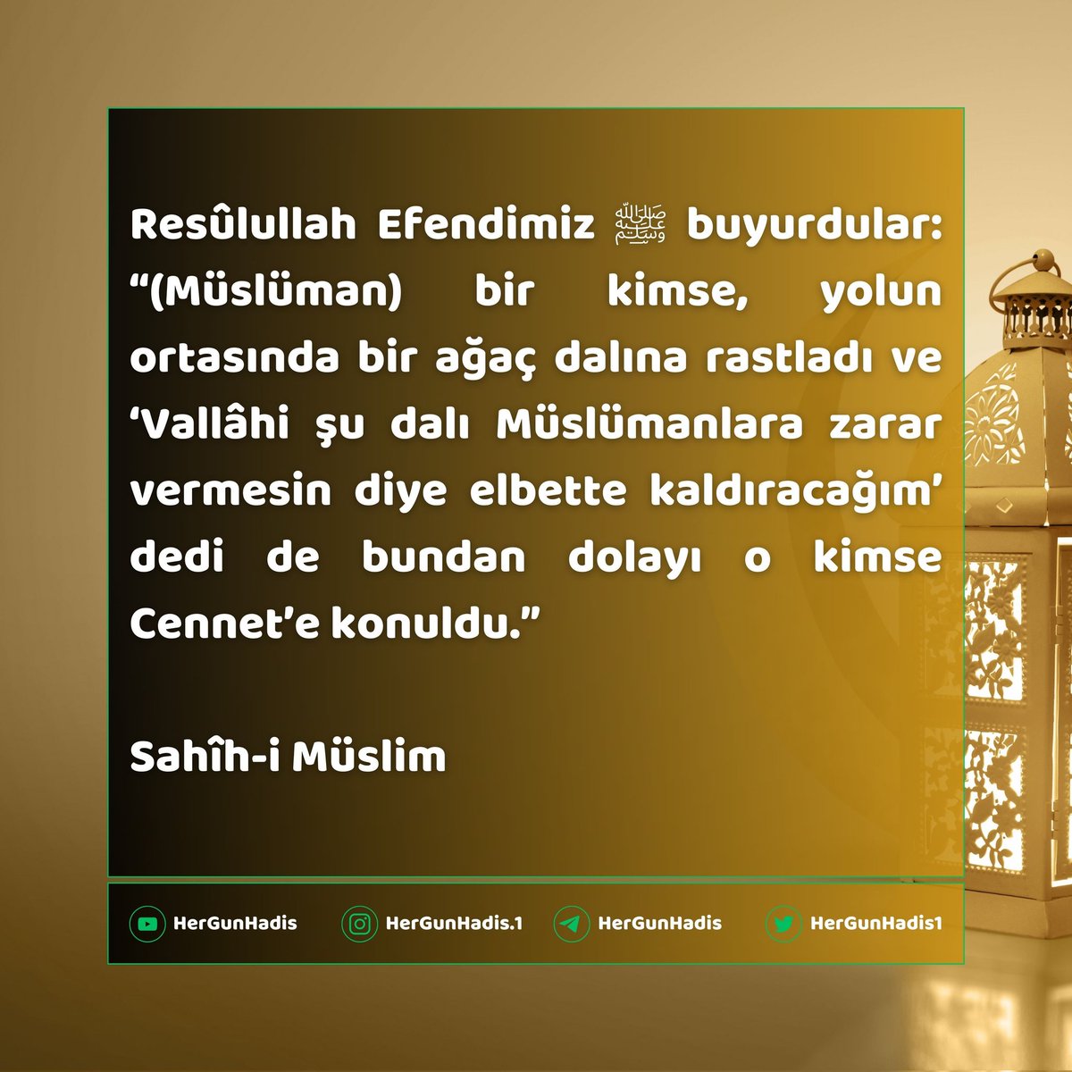 HerGunHadis1's tweet photo. Resûlullah Efendimiz ﷺ buyurdular: “(Müslüman) bir kimse, yolun ortasında bir ağaç dalına rastladı ve ‘Vallâhi şu dalı Müslümanlara zarar vermesin diye elbette kaldıracağım’ dedi de bundan dolayı o kimse Cennet’e konuldu.”

Sahîh-i Müslim https://t.co/RSSHs08Zxf