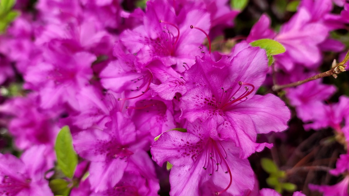 주홍맘 tweet media