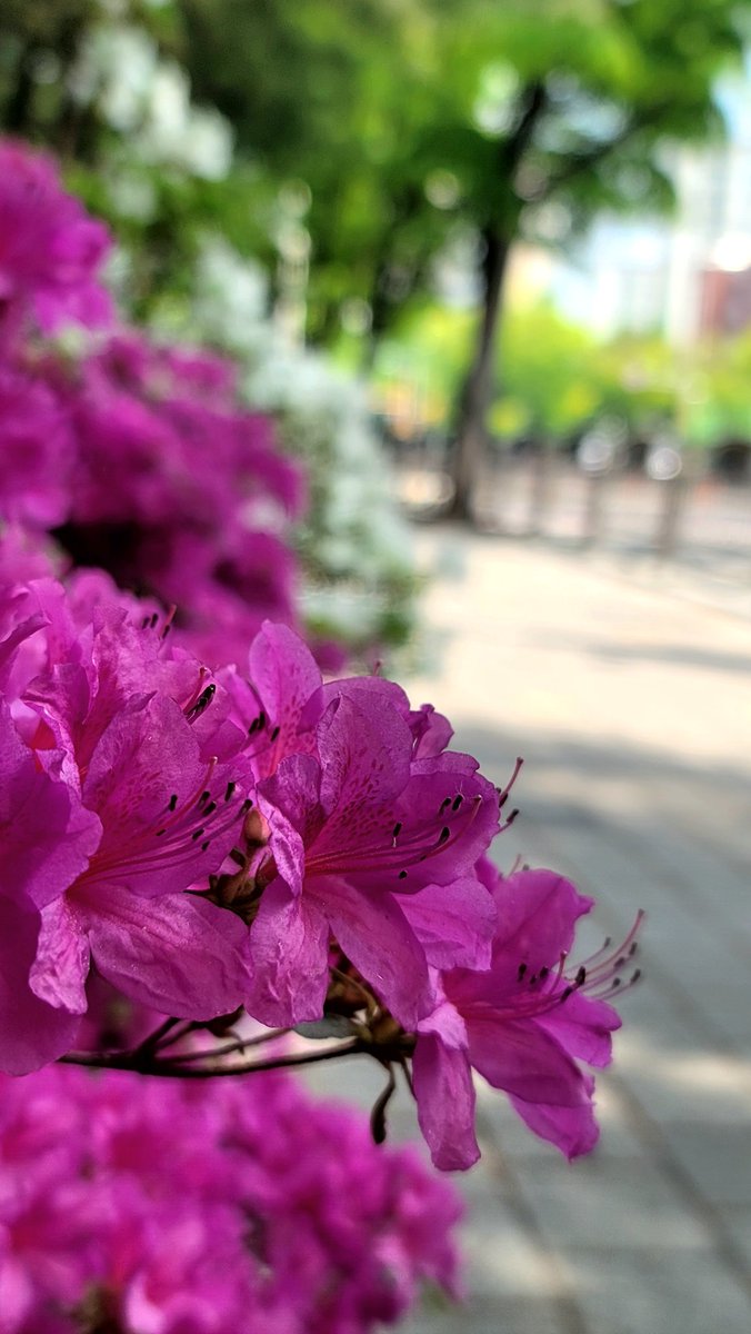 주홍맘 tweet media