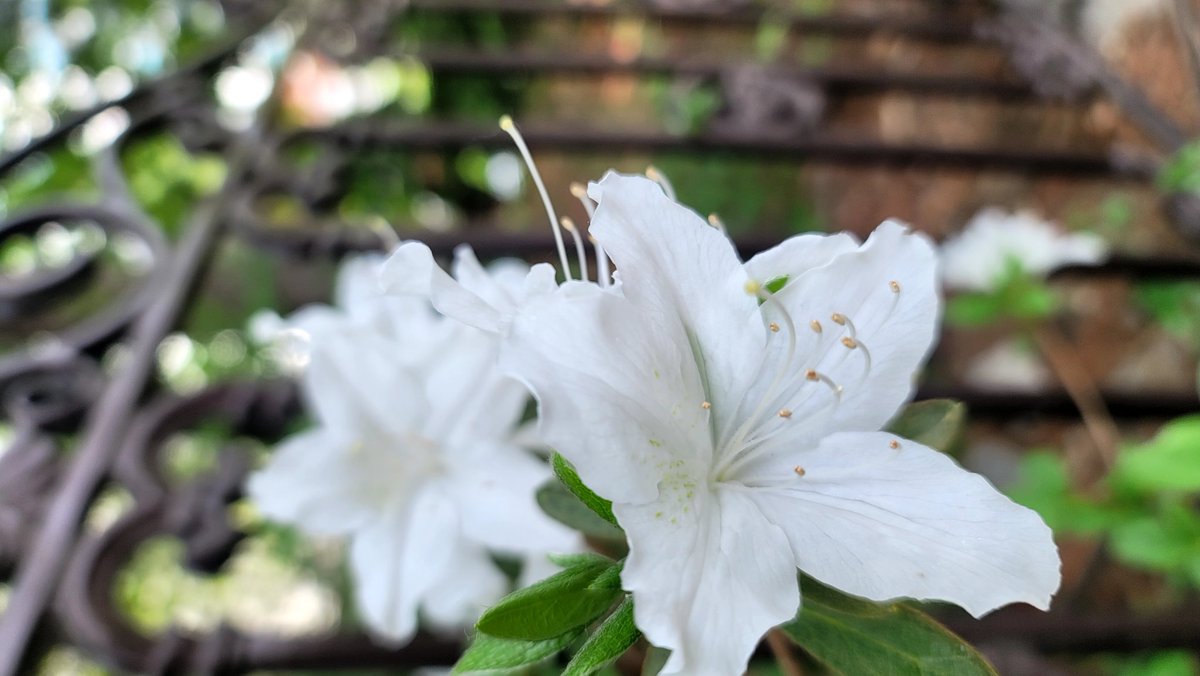 주홍맘 tweet media