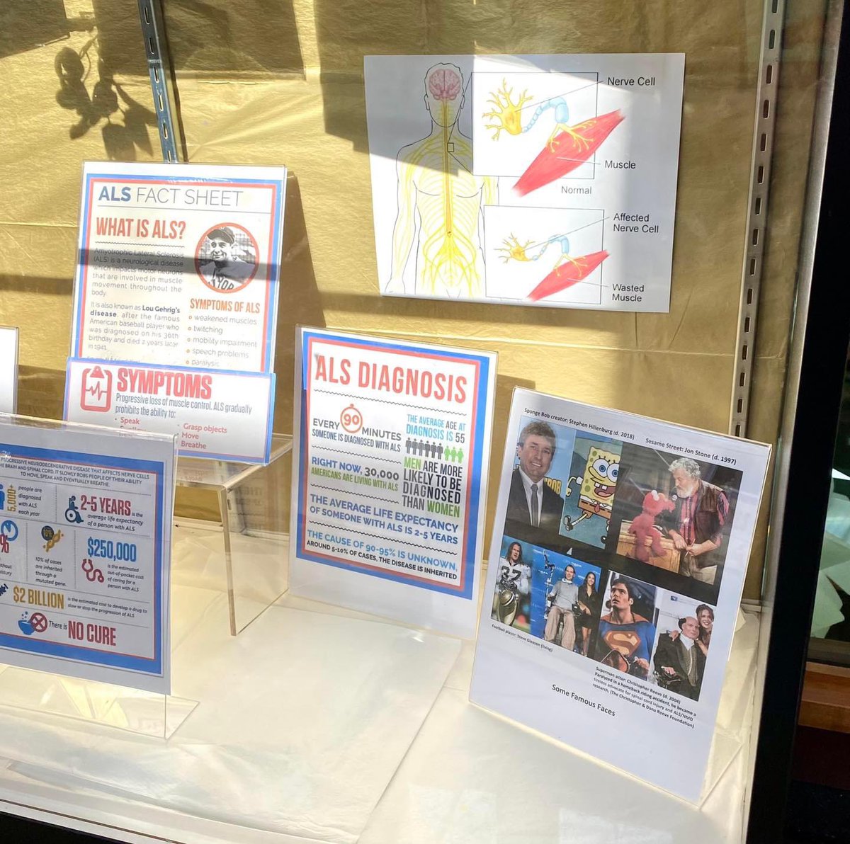 ActiveALS's tweet image. Thx to the Chelsea District Library for, partnering with us to help raise awareness about ALS (Lou Gehrig’s Disease) by featuring our display of ALS facts, books, and information about our organization and its mission. @ChelseaLibrary 

facebook.com/10006475458423…