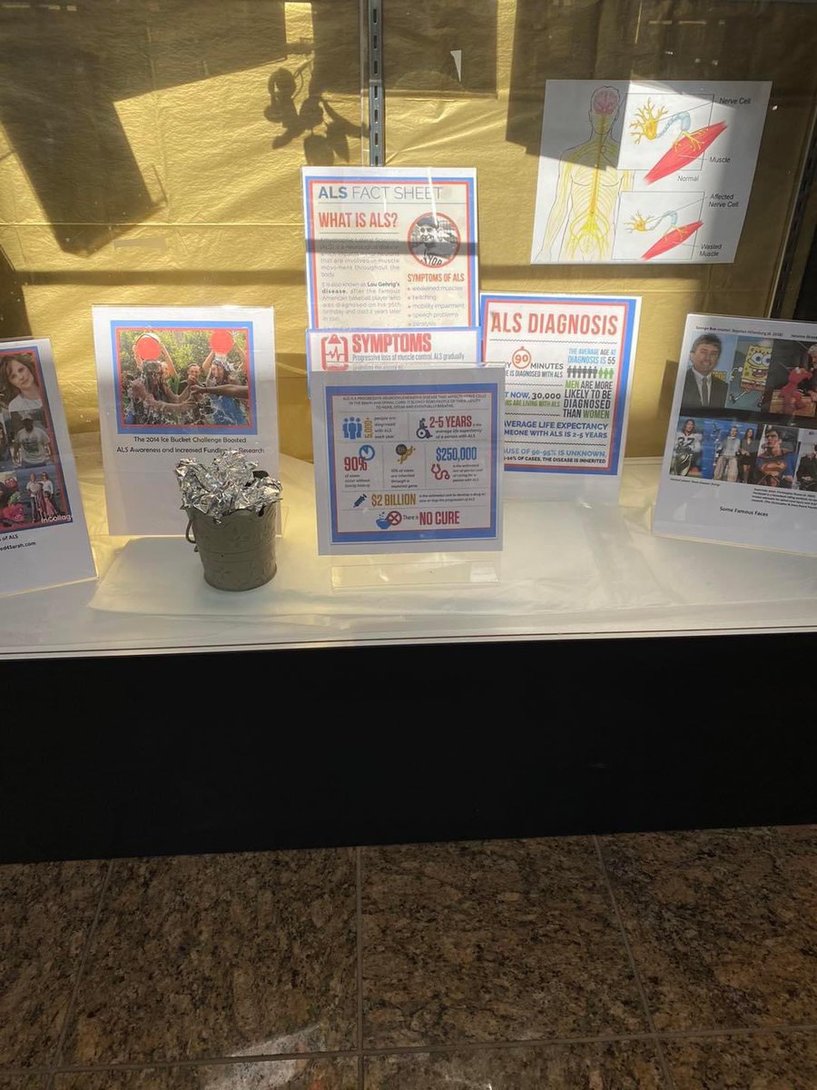 ActiveALS's tweet image. Thx to the Chelsea District Library for, partnering with us to help raise awareness about ALS (Lou Gehrig’s Disease) by featuring our display of ALS facts, books, and information about our organization and its mission. @ChelseaLibrary 

facebook.com/10006475458423…