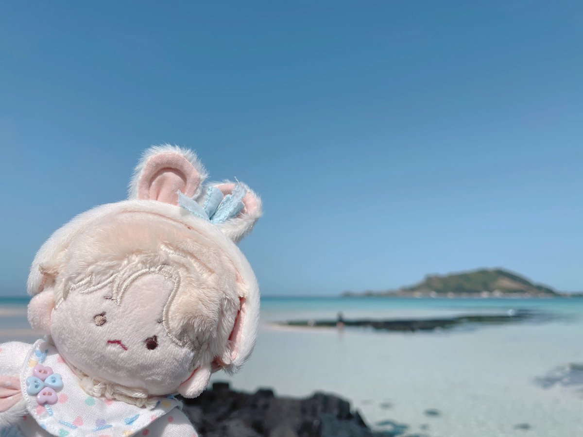 sunlight__83's tweet photo. 하늘도 바다도 너무 맑아서 땡글이랑 잘 어울렸던 날 ꈍ◡ꈍ https://t.co/nRudosZreH