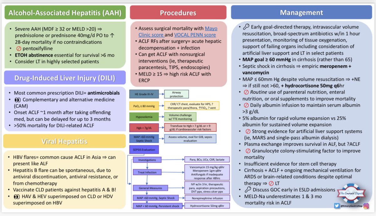 💡🌟Faculty Retroflexions🌟💡 What is ACLF? When should liver transplant be considered? This month we have Dr. Ravi Vora (@RavisVora) giving his take on the ACG ACLF Guidelines! Attached is @TinaPhamHang visual abstract from the Emoroid Digest #TheEmoroidDigest #GITwitter #MedEd