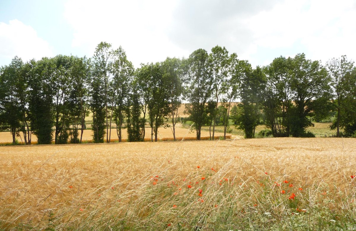 Departement89's tweet photo. ⚠️🚛🚗🌳#Travaux routiers : le Département de l'#Yonne s'engage pour l'#environnement. L’action du Département en matière de protection de l’environnement est large. 
↪️Découvrez notre dossier : https://t.co/AzkVhHC0J0 https://t.co/M7IS6krJPc