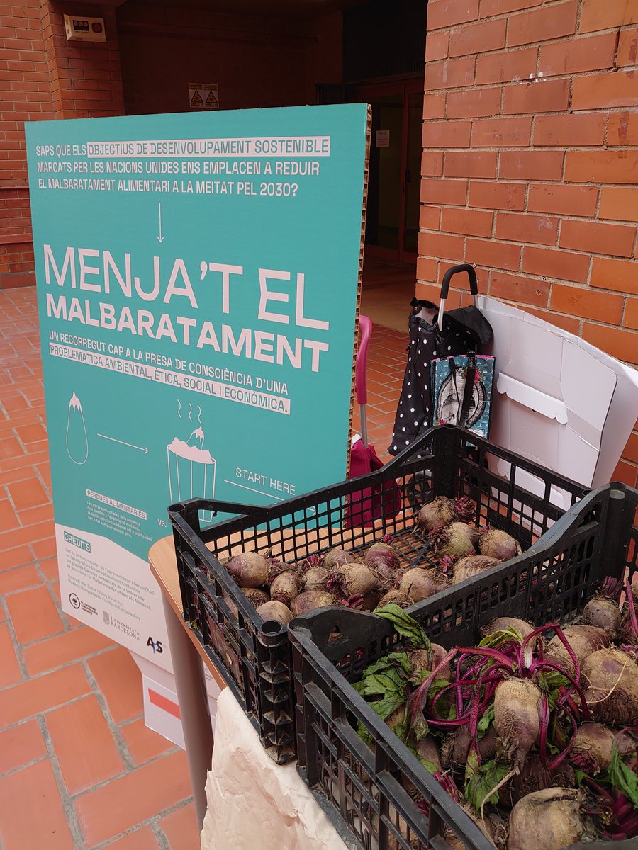 PAAliments's tweet photo. Avui a la #biologiaUB parada en adopció fruit del projecte #ApS amb la @DSambApS i la @PAAliments: 125 kg #alimentsrecuperats via #espigolada al #ParcAgrari i dels #comerços del barri BRAVO PEL RESCAT EQUIP ‼️💪🏾🫛🫛🫛🫛🥖🍐🥔 https://t.co/qHiCW7mmDt