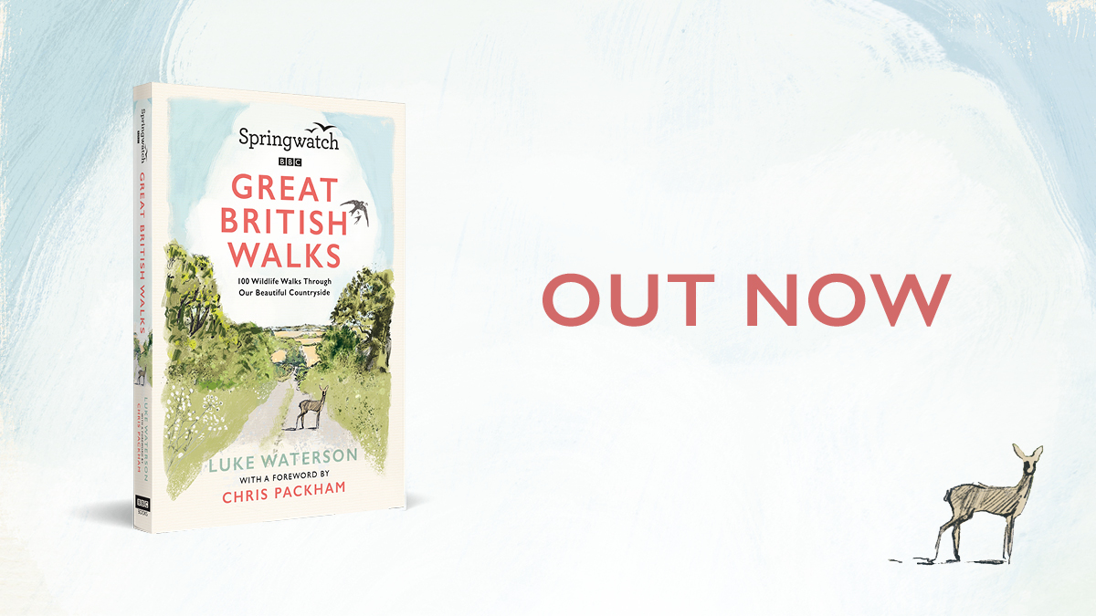 Addendum: If anyone happens to be in or near a Waterstones, WH Smiths, Stanfords or Blackwells and sees this in the shops today, a pic would be appreciated SO much (here in Mid Wales, the nearest store is a bit of a trek)