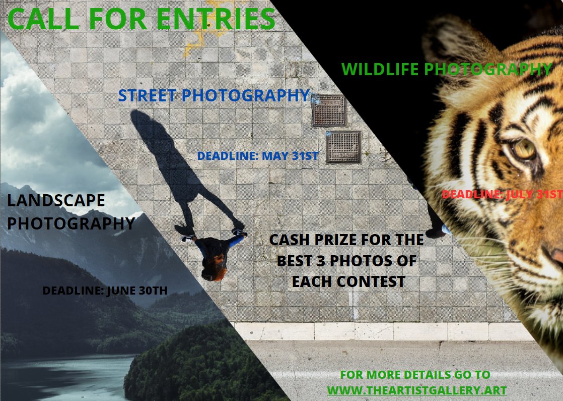 PhotoCompNet's tweet image. Call for Entries - The Artist Gallery International Photo Contests - mailchi.mp/photocontestin…