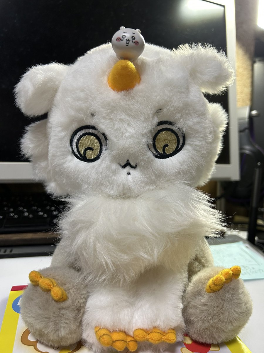 頼んでたの忘れてたあの子が届いた https://t.co/EAuaHDDXXy