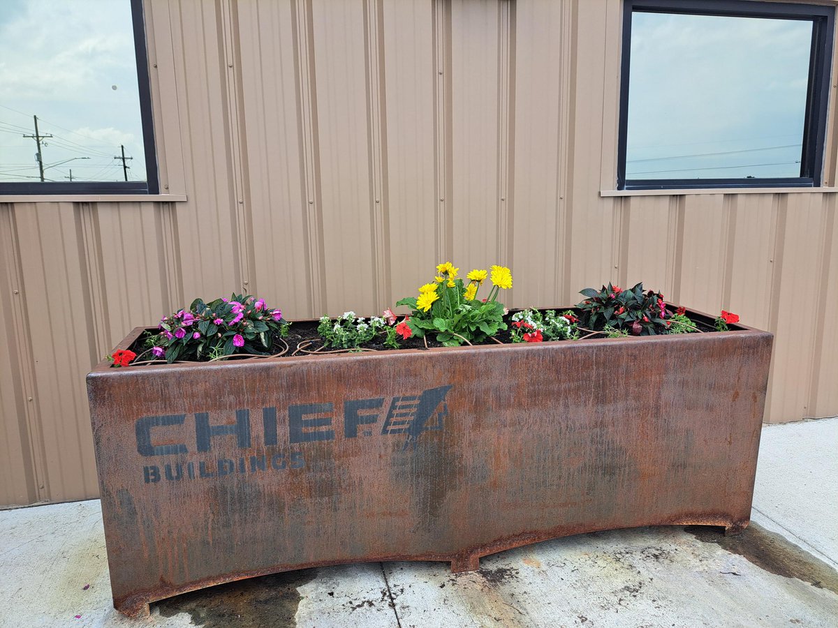 Chief Buildings tweet media