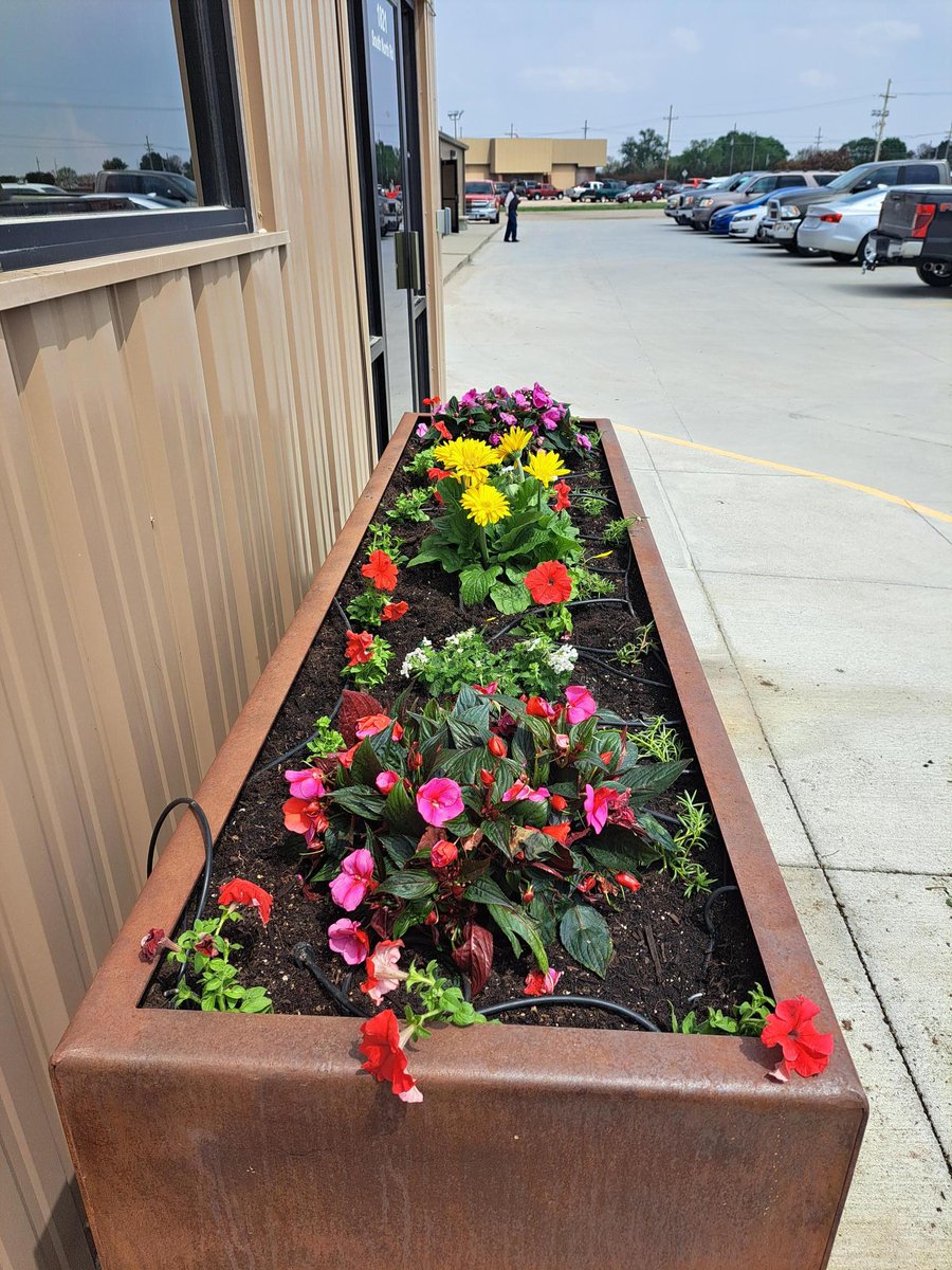 Chief Buildings tweet media