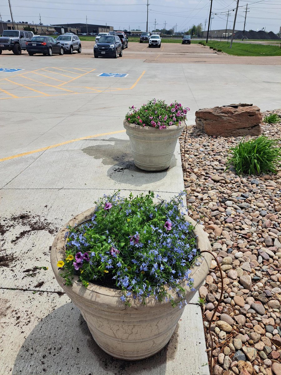 Chief Buildings tweet media