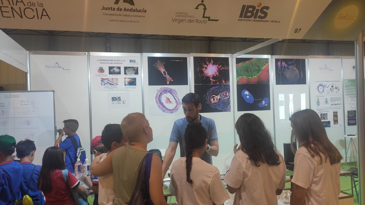 HospitalUVRocio's tweet photo. 🙌🏻💯¿Has visitado la Feria de la Ciencia? Hasta mañana puedes pasarte por nuestro stand en
@FeriaCiencia y conocer de la mano de nuestros investigadores 🔬💻 algunos proyectos de I+D+i que se desarrollan en el hospital 🏥. https://t.co/ss6Xv3JvYr