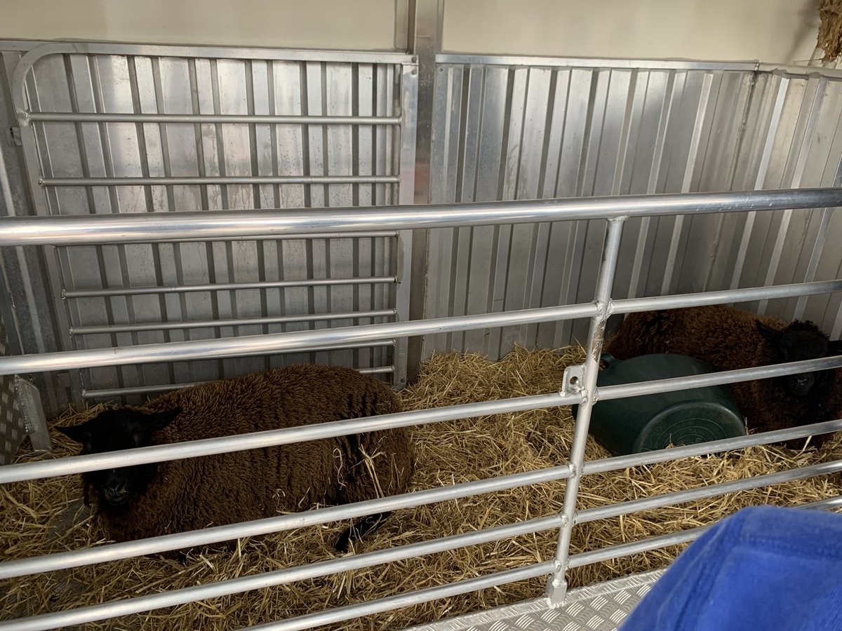 When nature comes to visit 🥰can they type though 😉 @DycePrimary <a href="/DycePri_Parents/">Dyce Primary School Parent Council</a> <a href="/RNCI1/">RNCI</a>