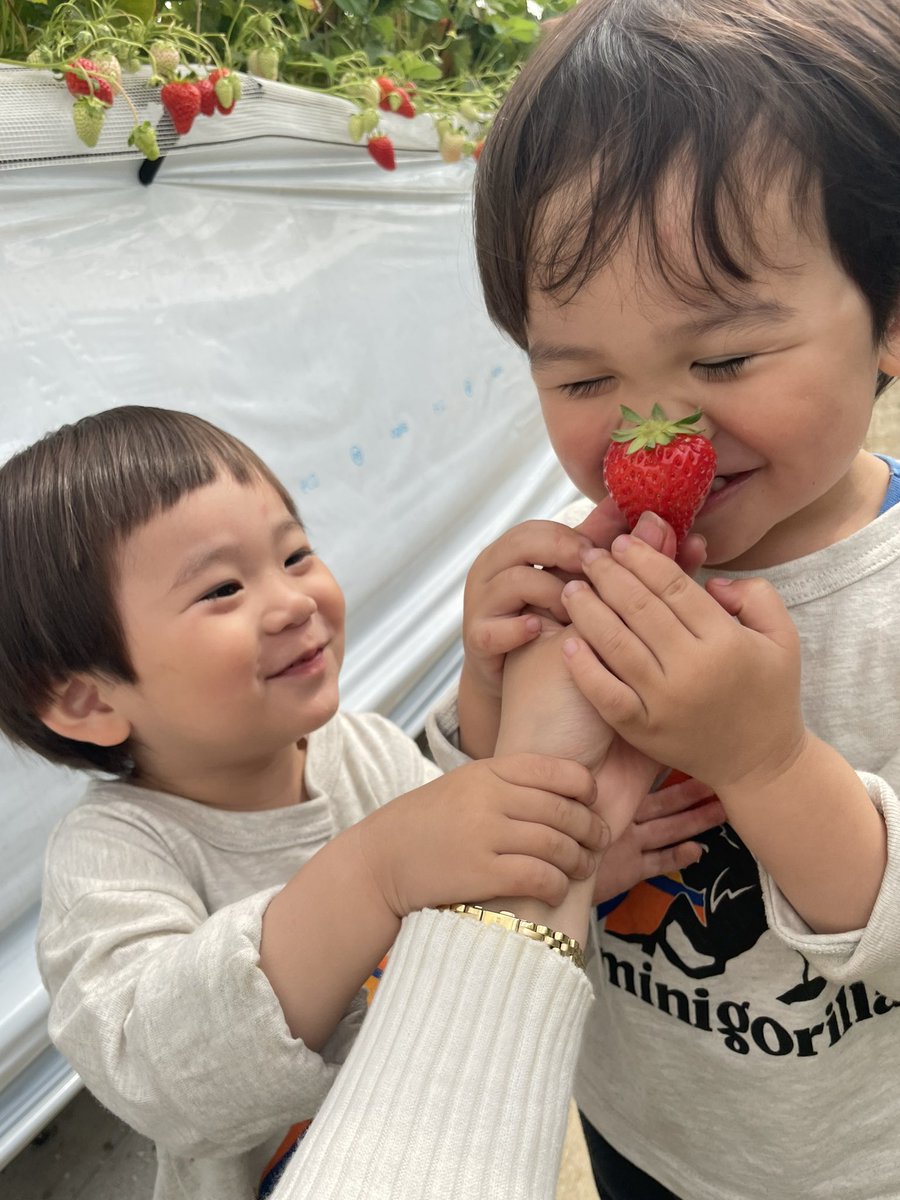 ryooooona728's tweet photo. なんか急についったに載せたくなるときってあるよね
可愛いうちの子たち🌧️🫶 https://t.co/JUu4lncS9p