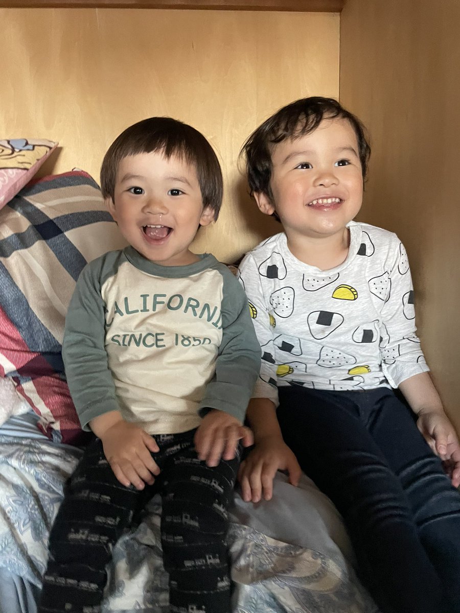 ryooooona728's tweet photo. なんか急についったに載せたくなるときってあるよね
可愛いうちの子たち🌧️🫶 https://t.co/JUu4lncS9p