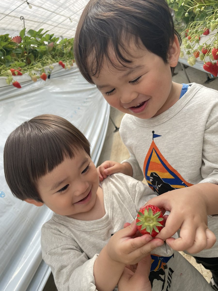 ryooooona728's tweet photo. なんか急についったに載せたくなるときってあるよね
可愛いうちの子たち🌧️🫶 https://t.co/JUu4lncS9p