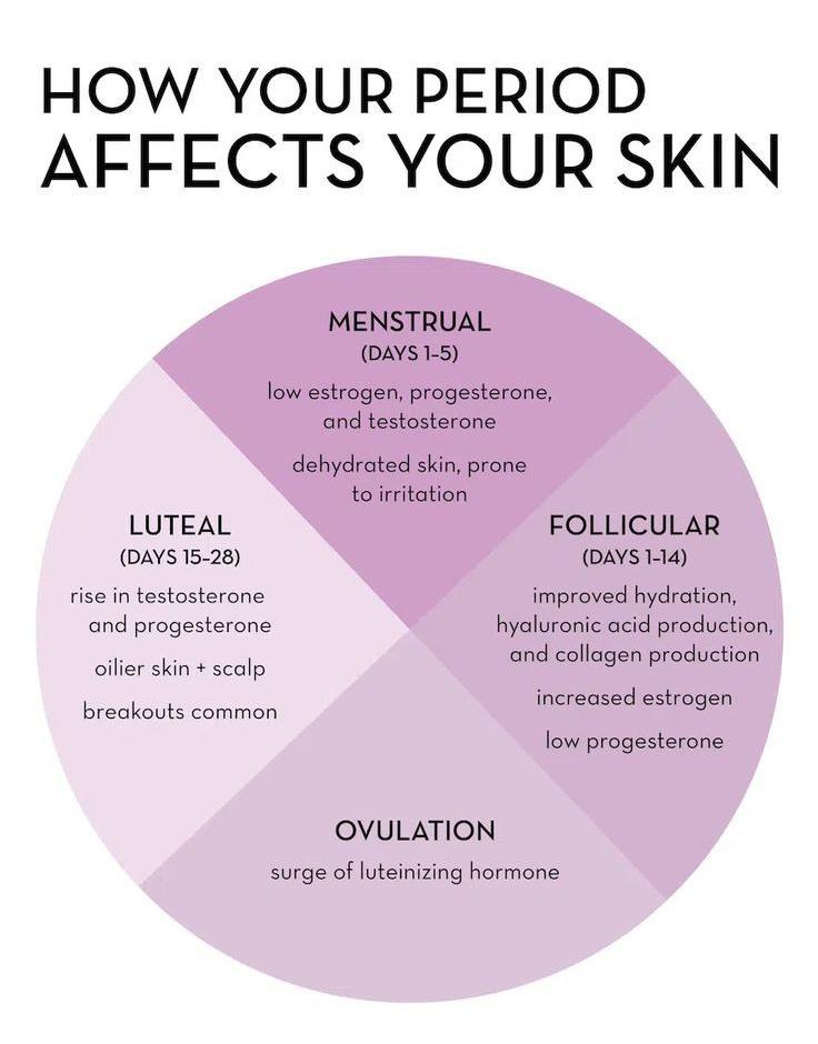 Thehealpad's tweet photo. How your period affects your skin! https://t.co/L9u7zQ7WsB