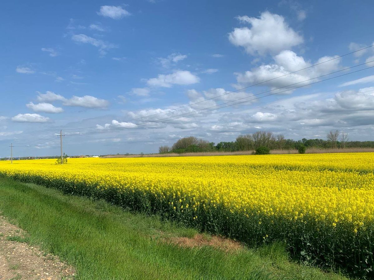 GM to all the degens still grinding 🌞 

say it back