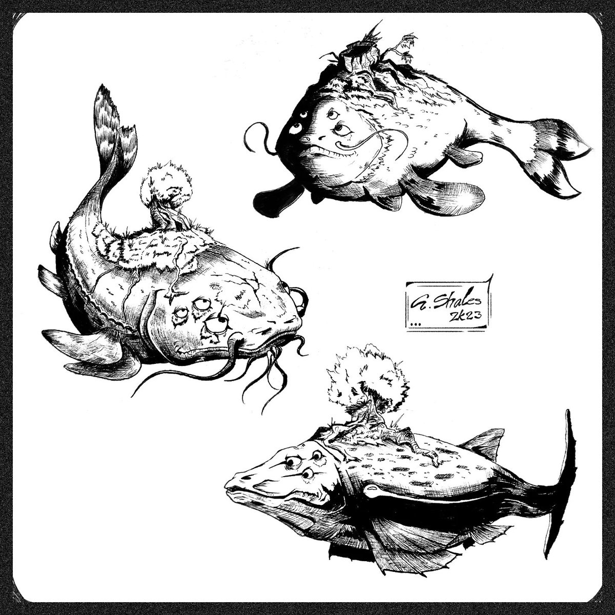GuillaumeShales's tweet photo. _🐟🐡🐠_ 

#artshare #fish #traditionalart https://t.co/0dJrygc2ze