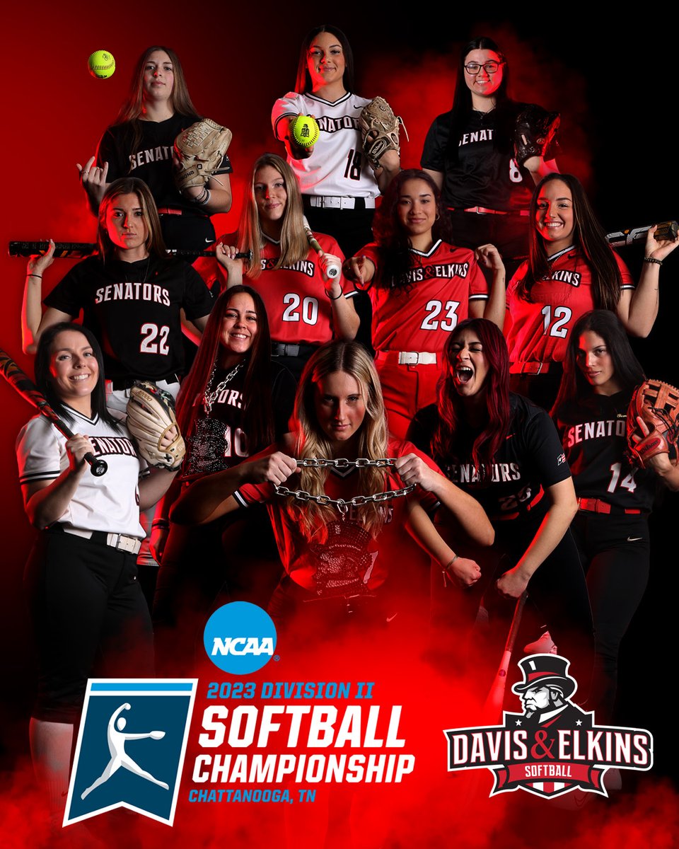 SenatorNation tweet media