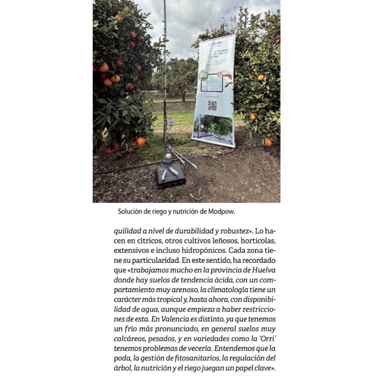 ¡Atención! ¡Tenemos la edición #92 de la revista fruticultura con todo lo que necesitas saber sobre el manejo eficiente de cítricos en seto! Descubre nuestras experiencias y consejos para una plantación sostenible y eficiente.  

#Cítricos #ManejoEficiente #RevistaDeFruticultura