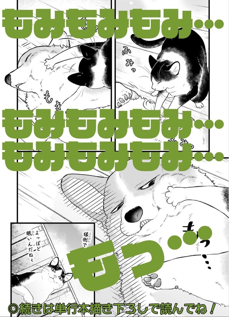 🍡コミックス発売迫る🍡  『#殿と犬(とのといぬ)』②巻 いよいよ来週5/15発売です! (書籍扱いコミックスのため 店着次第で早めに出るお店もあり)  描き下ろしも大満足🍙 ぜひ①②巻あわせてお迎えください  🐶書店特典 https://comic-polaris.jp/polaris_comics/?book=192_88  🐯Amazon  