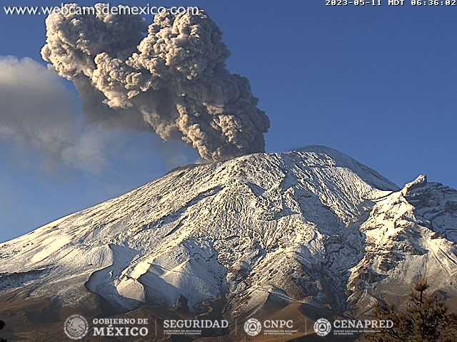 Webcams de México tweet media