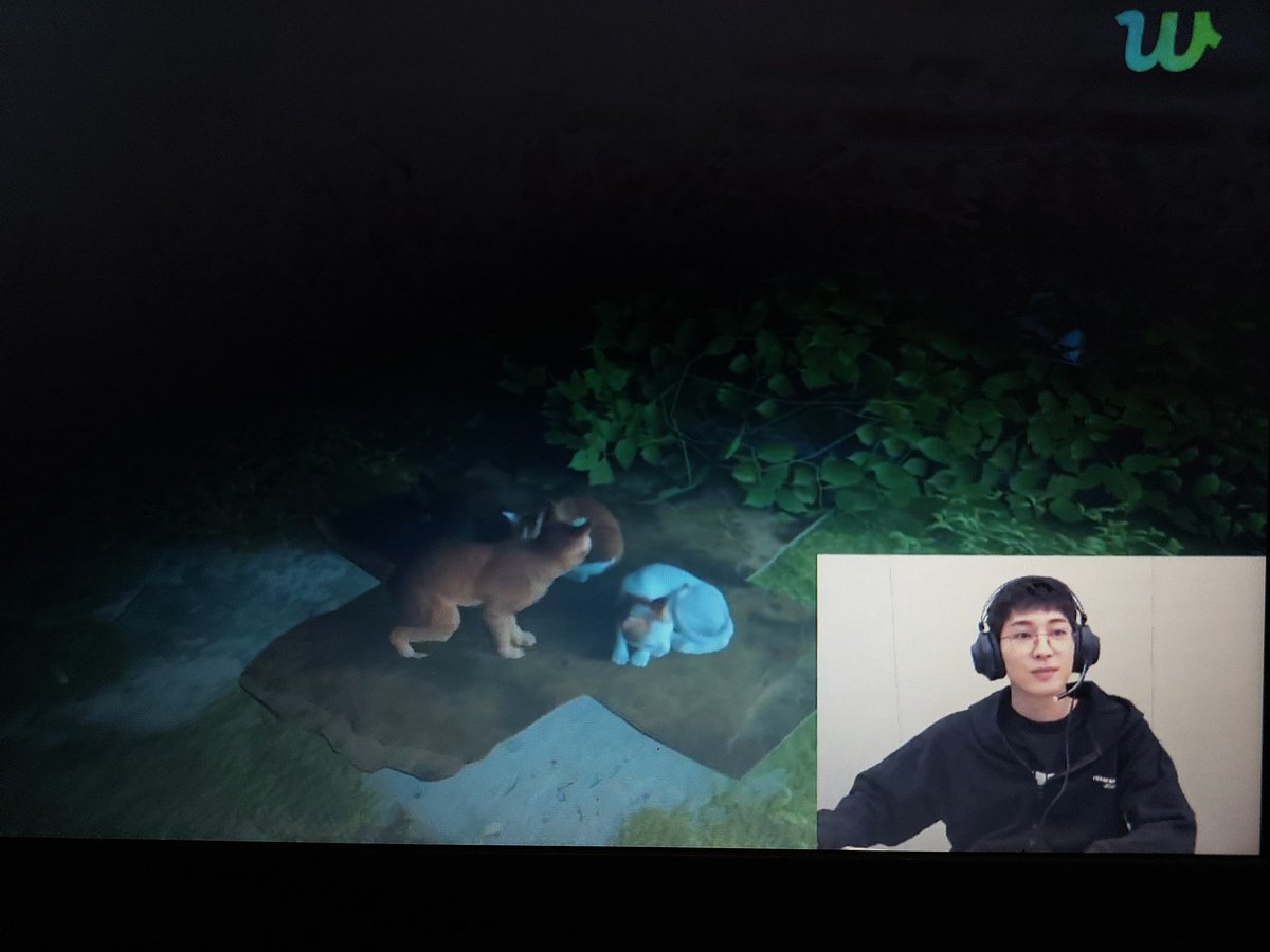 caratstalk's tweet photo. [17s] Aku baby wonwiorideul mau nanya wonwoo tu emang gampang kedinginan ya? Soalnya td abis nonton gose yg mouse buster dia juga pake jaket pas ditahan karna katanya kedinginan sama beberapa gose jg sering pake jaket. https://t.co/taGZ76hp8G