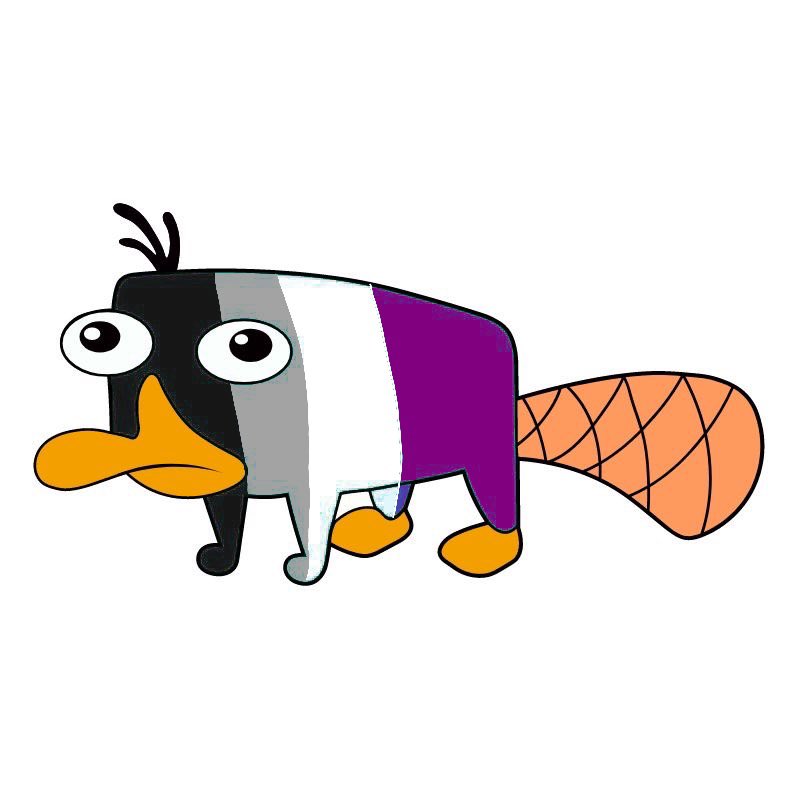 Sokkasnation's tweet photo. An asexual platypus?? PERRY THE ASEXUAL PLATYPUS??!!!! https://t.co/uNmMJMhIBl