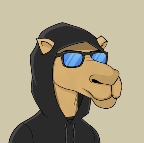 GM! Lets see your Camels!