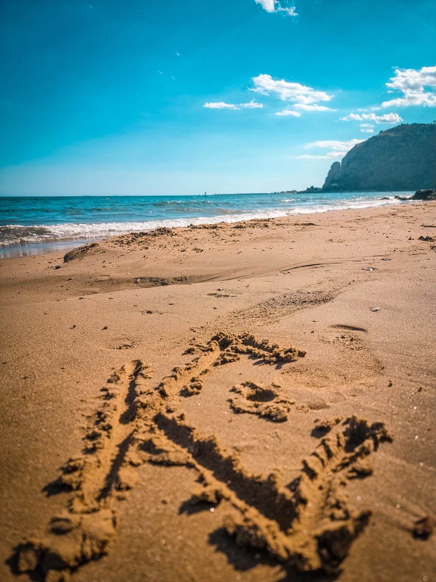 kucoincom's tweet photo. Look at what we found at the beach 🏖

Did you have a great weekend? https://t.co/0JZ5ZH7AjJ