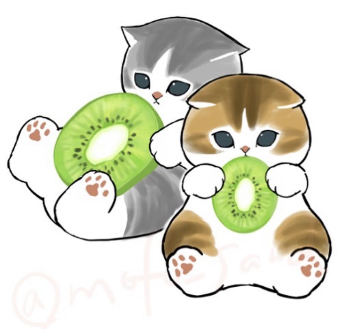 mofusand's tweet photo. 💚#cat #cats #cute #mofusand #mofu #sand #cutecat #anime #animation #catpic #kitten #catart #art #catartist #artist #catartwork #artwork #kiwi #fruits #catgirl #catportrait #portrait #catdrawing #drawing #catillustration #illustration #lovely #catanime #anime #catanimation 💚 https://t.co/89YrVdZheF